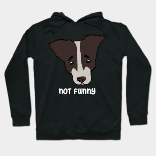 not funny. sad dog Hoodie